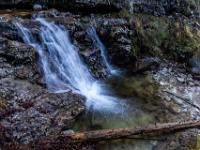 Seitenblick auf zwei Wasserfälle in Gumpe mit Baumstamm
